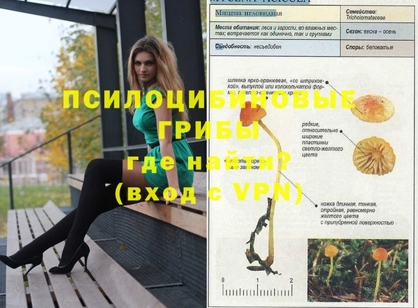 скорость Белокуриха