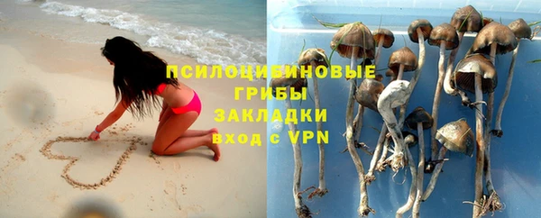 скорость Белокуриха