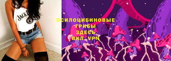 скорость Белокуриха