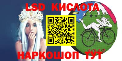 гашик Донской