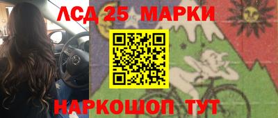 гашик Донской