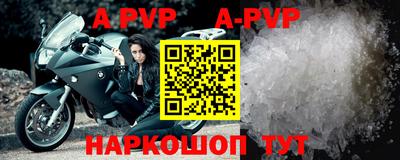 гашик Донской