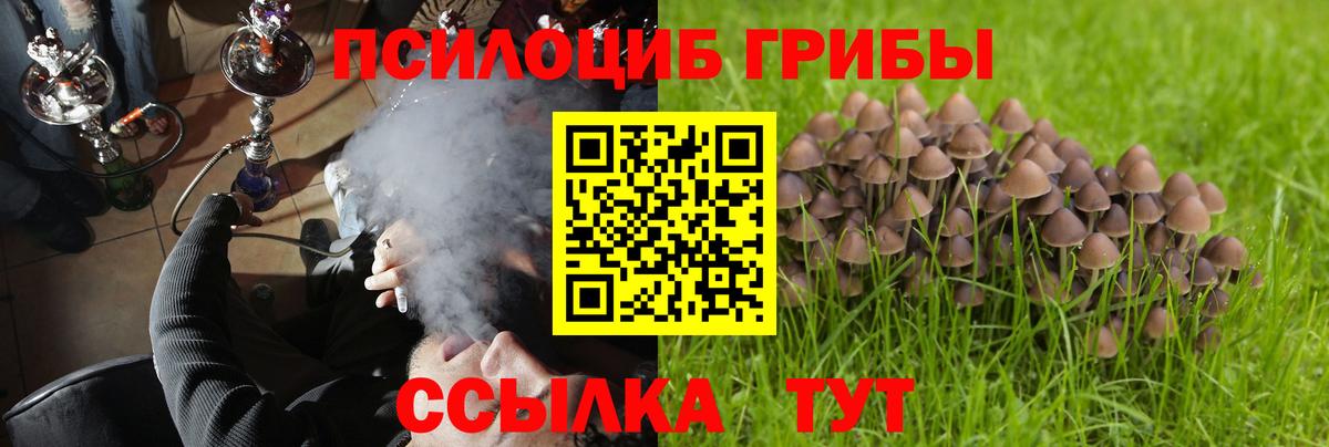 Галлюциногенные грибы MAGIC MUSHROOMS Воркута